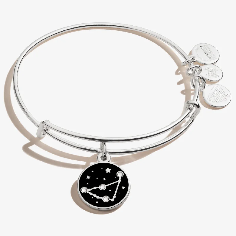 Gem link bracelets-Capricorn Zodiac Charm Bangle