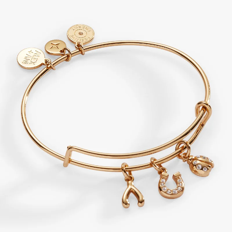 Monogram bangles-Love and Luck Multi-Charm Bangle