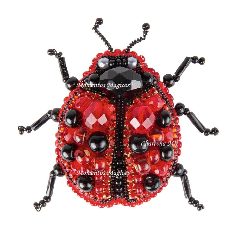 Waxing moon brooches-BP-318C Beadwork kit for creating brooch Crystal Art "Ladybug"